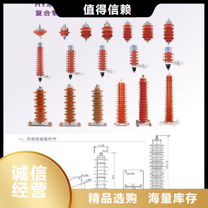 避雷器YH10W-100/260G