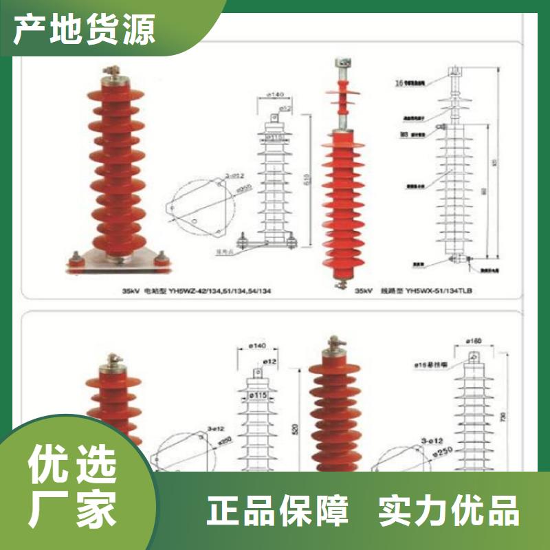 瓷外套金属氧化物避雷器Y10W-200/496