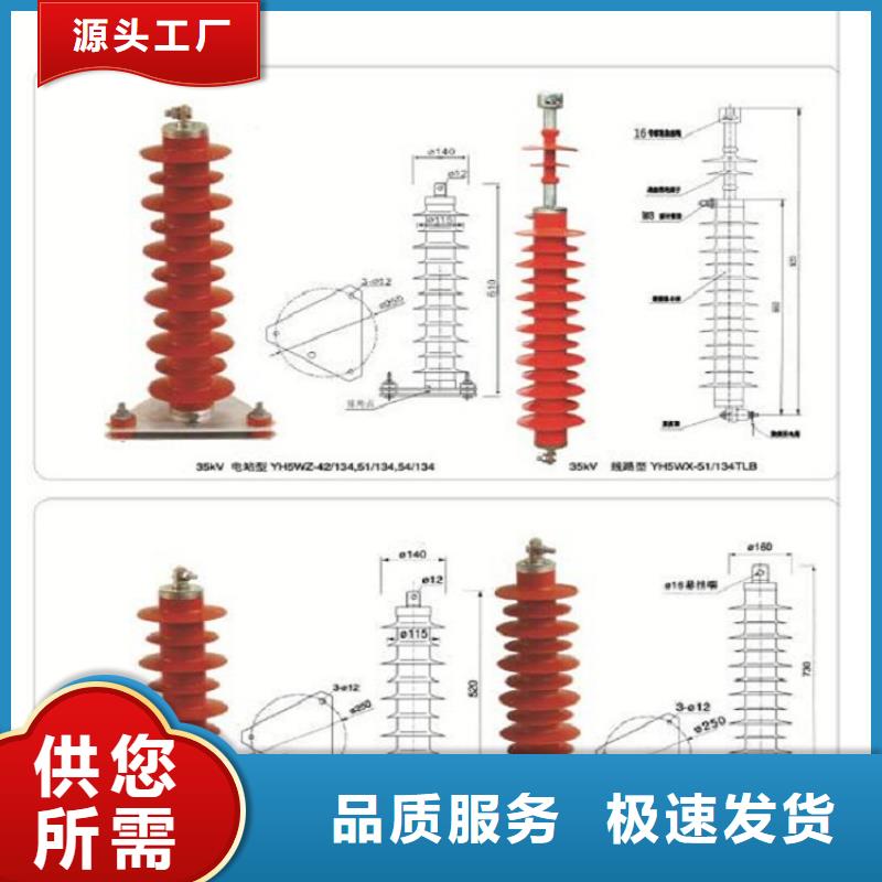 HY5WS-10/30DL-TB