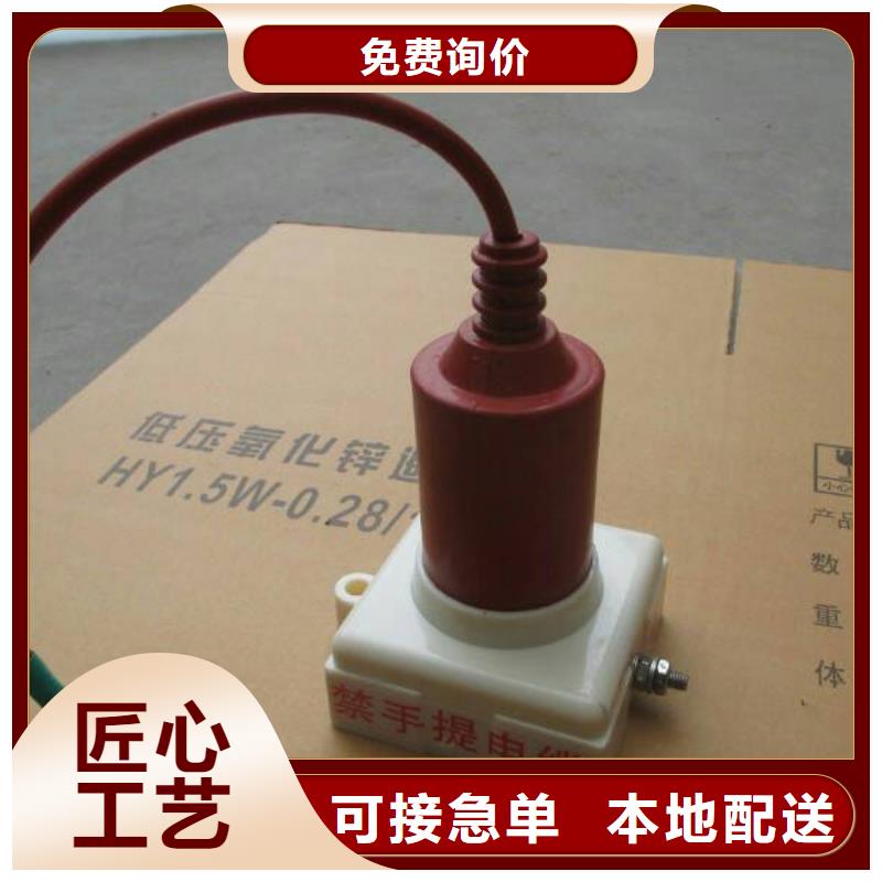 过电压保护器YH2.5CD-3.8/9.5*3.8/9.5