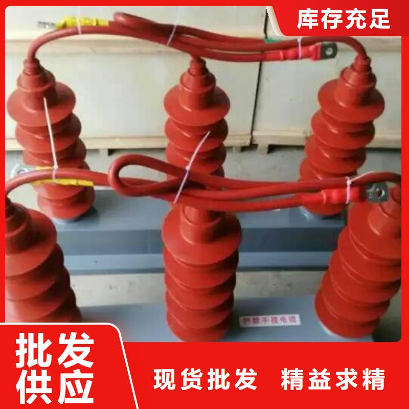 保护器(组合式避雷器)TBP-A-42/630W