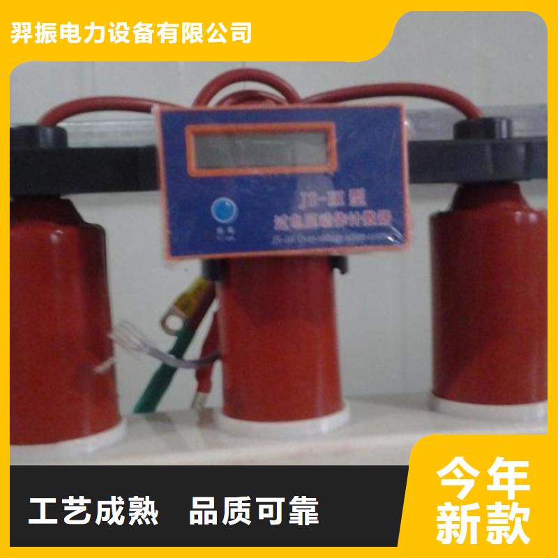 【避雷器/過電壓保護(hù)器】TBP-A-12.7F/85-J