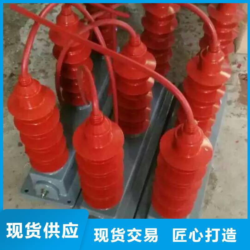 保护器(组合式避雷器)TBP-W-C/35-T过电压保护器