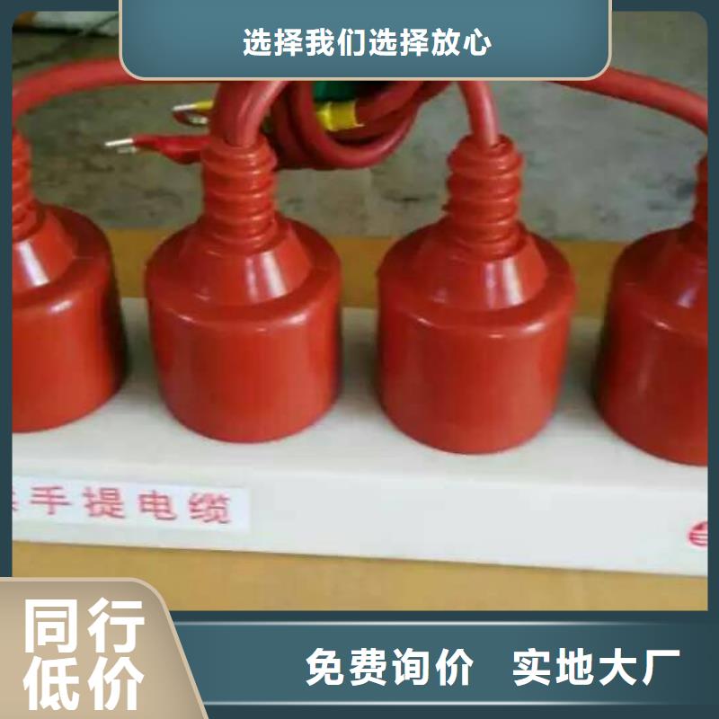 过电压保护器(组合式避雷器)SYB-C-7.6KV/85-J