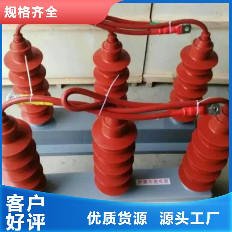 保护器(组合式避雷器)TBP-A-42/630W