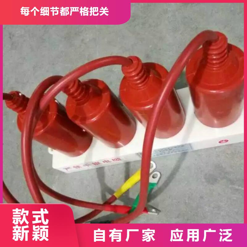 〖過電壓保護(hù)器〗TBP-A-42F/200價(jià)格合理