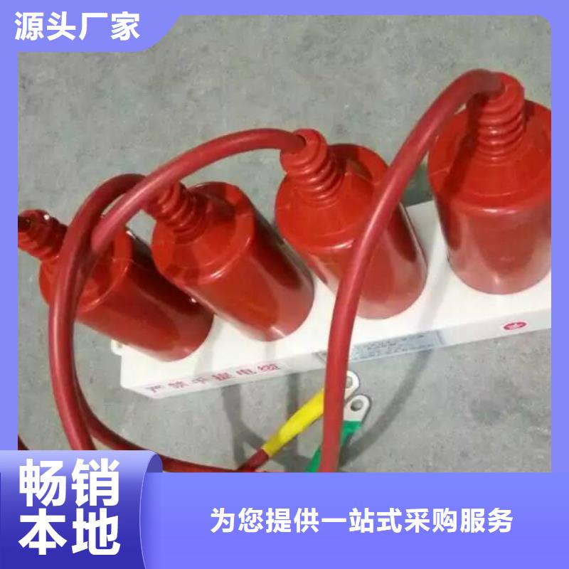 【避雷器/過(guò)電壓保護(hù)器】YH5WZ-51/150*51/134