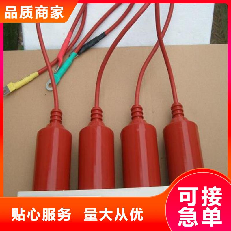 過電壓保護器YH5WZ-10/27*10/27