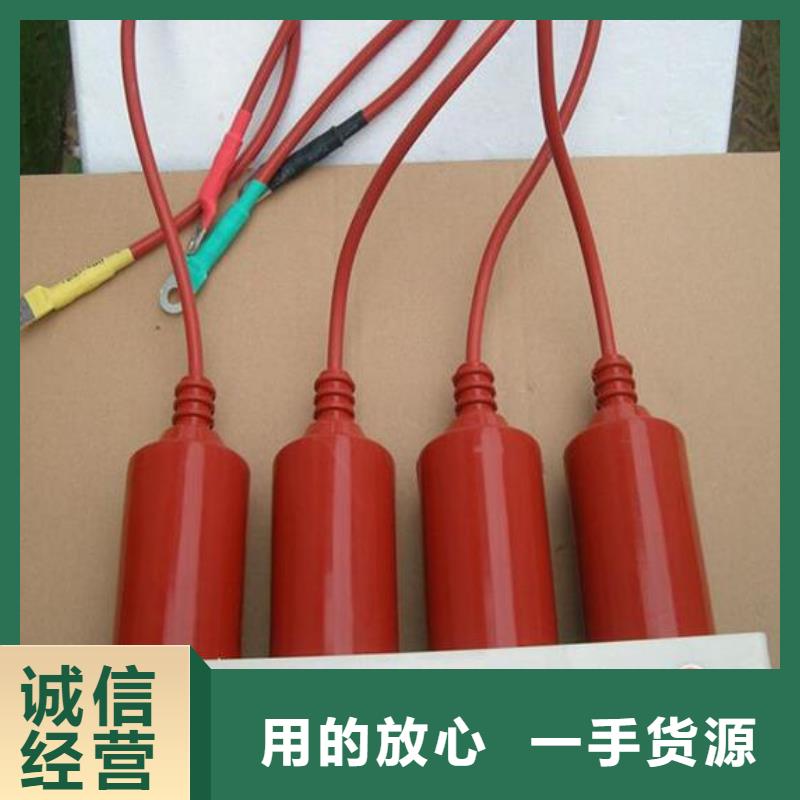 【过电压保护器/组合式避雷器】TBP-A-10.5/F