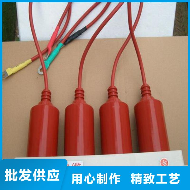 过电压保护器(组合式避雷器)BSTG-C-42F/400W1