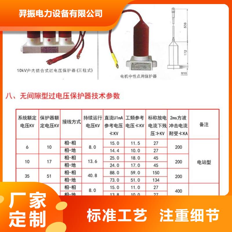 TBP-W-O/10-F组合过电压保护器