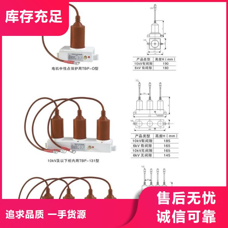 过电压保护器TBP-B-7.6/100W1