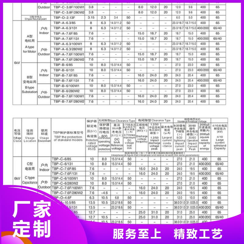 过电压保护器(组合式避雷器)TBP-C-12.7F/131-J