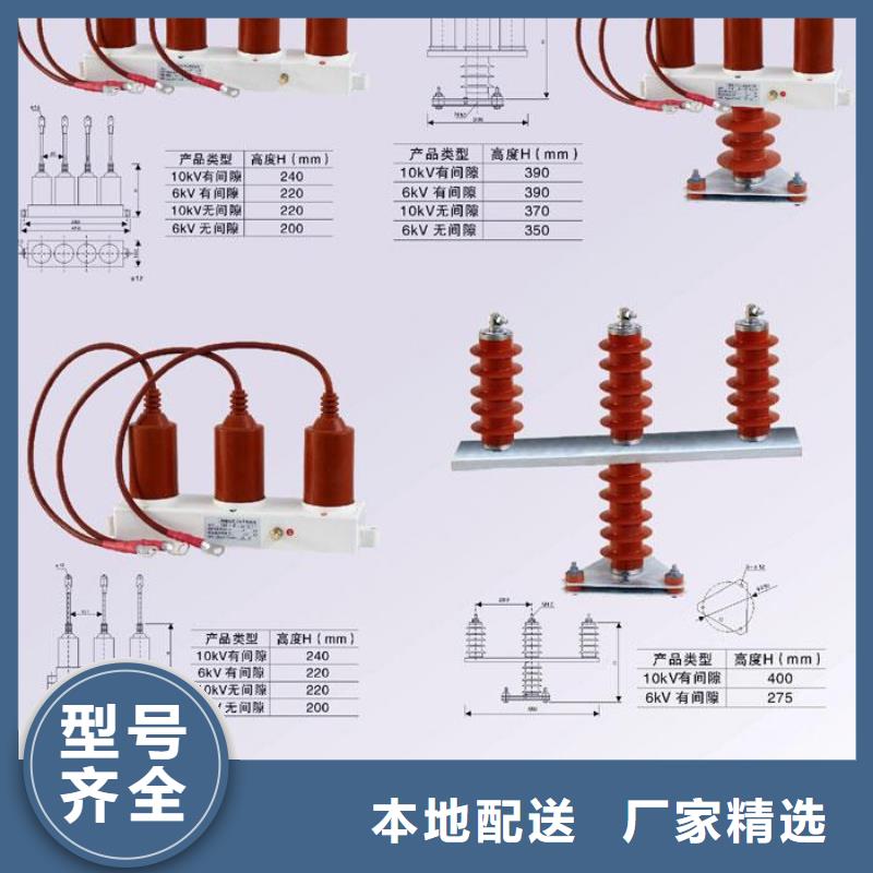 过电压保护器(组合式避雷器)YHL-D-12.7/3200