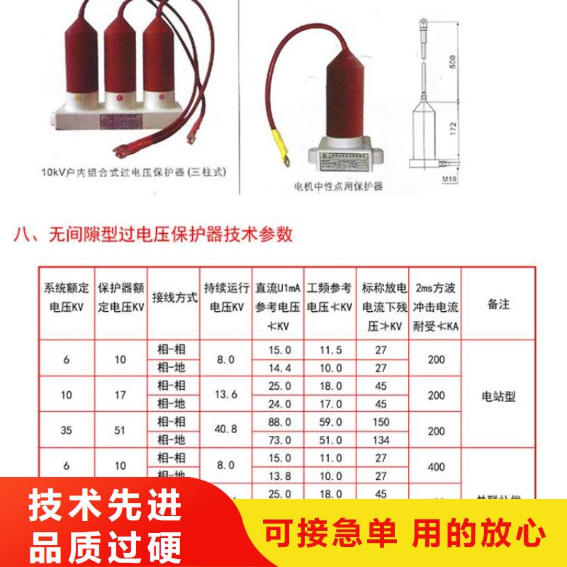 过电压保护器HTB-R-35KV/300