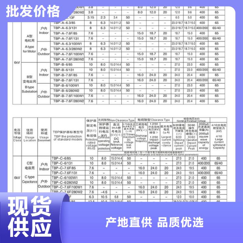 保护器(组合式避雷器)RY-GDY1-A/6组合过电压保护器