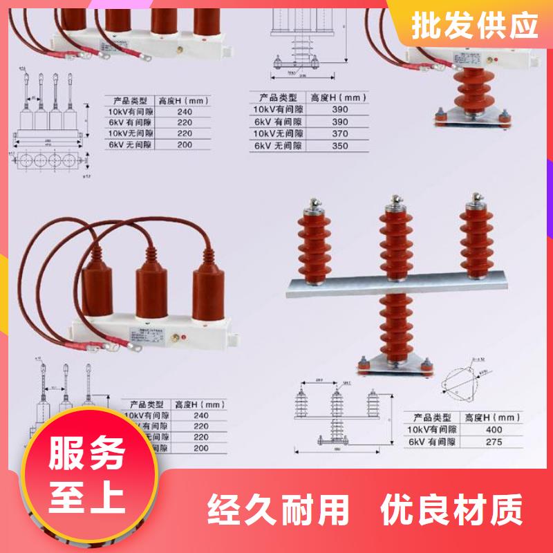 〖过电压保护器〗TBP-C-10.5/131-J质量可靠