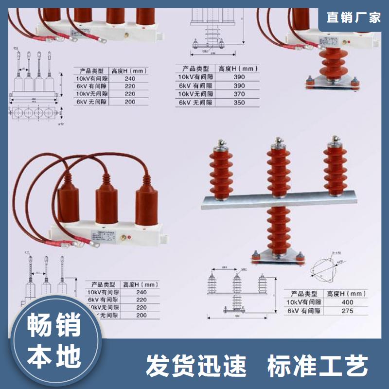 〖过电压保护器〗TBP-B-6.3/85畅销全国