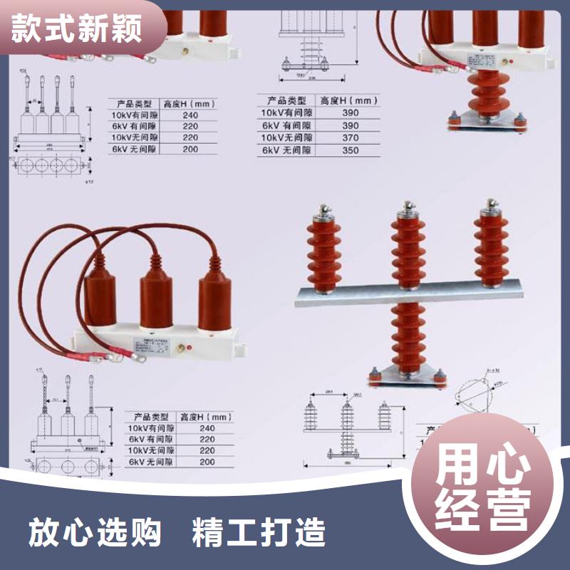 TBP-C/10-F组合过电压保护器