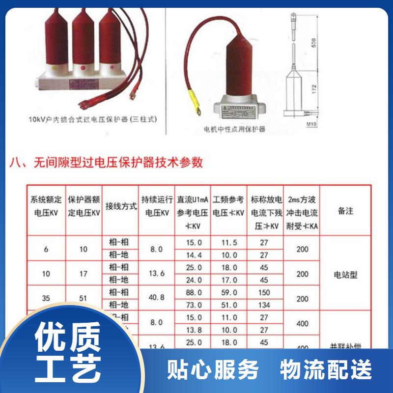 过电压保护器(组合式避雷器)TBP-C-12.7F/131-J