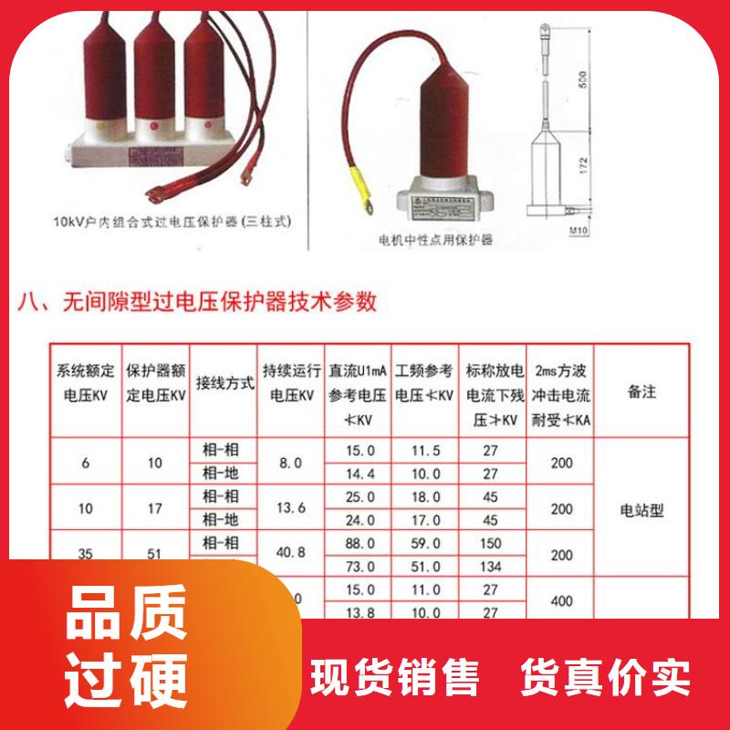 保护器(组合式避雷器)TBP-W-C/35-T过电压保护器