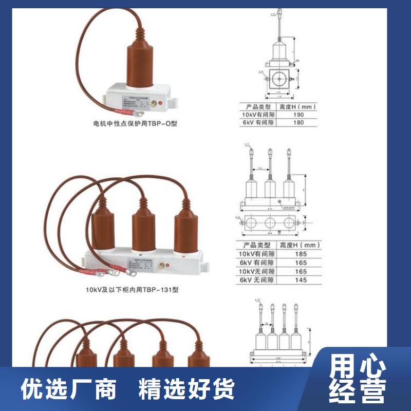 〖过电压保护器〗TBP-B-6.3/85畅销全国