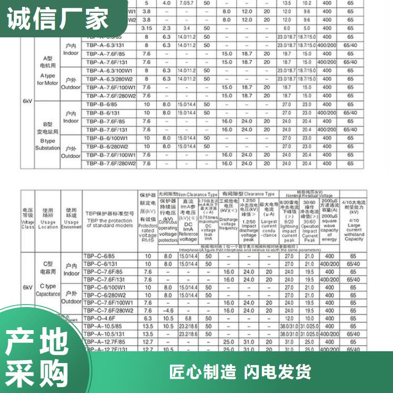 〖过电压保护器〗TBP-C-42/310质量保证