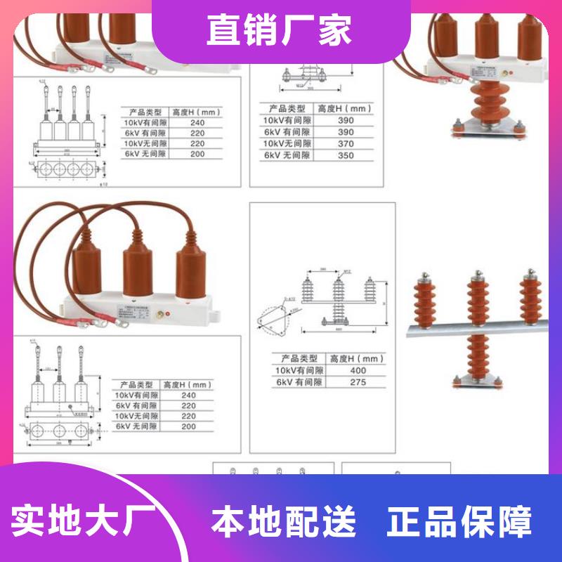 过电压保护器(组合式避雷器)HRB-B-6.3-J