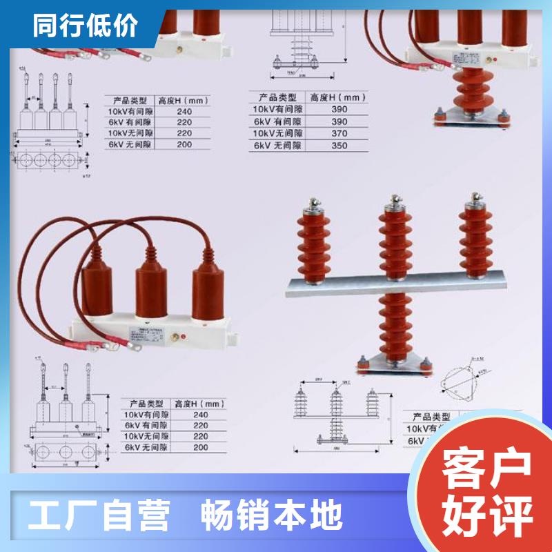 【过电压保护器/组合式避雷器】TBP-A-10.5/F