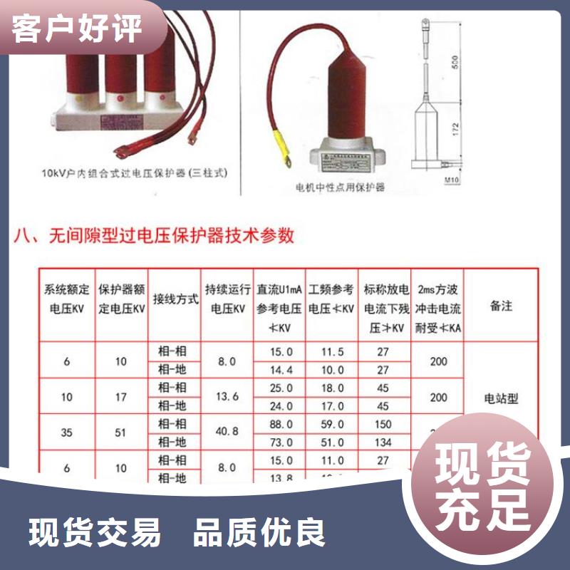 〖过电压保护器〗TBP-A-42/310种类齐全