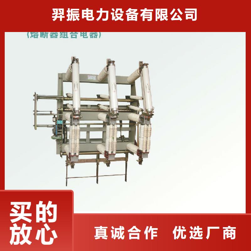 高壓負荷開關ZFNR23-10D/125