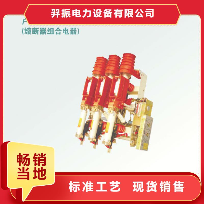 壓氣式負(fù)荷開(kāi)關(guān)FKN12-12RD/125-31.5_