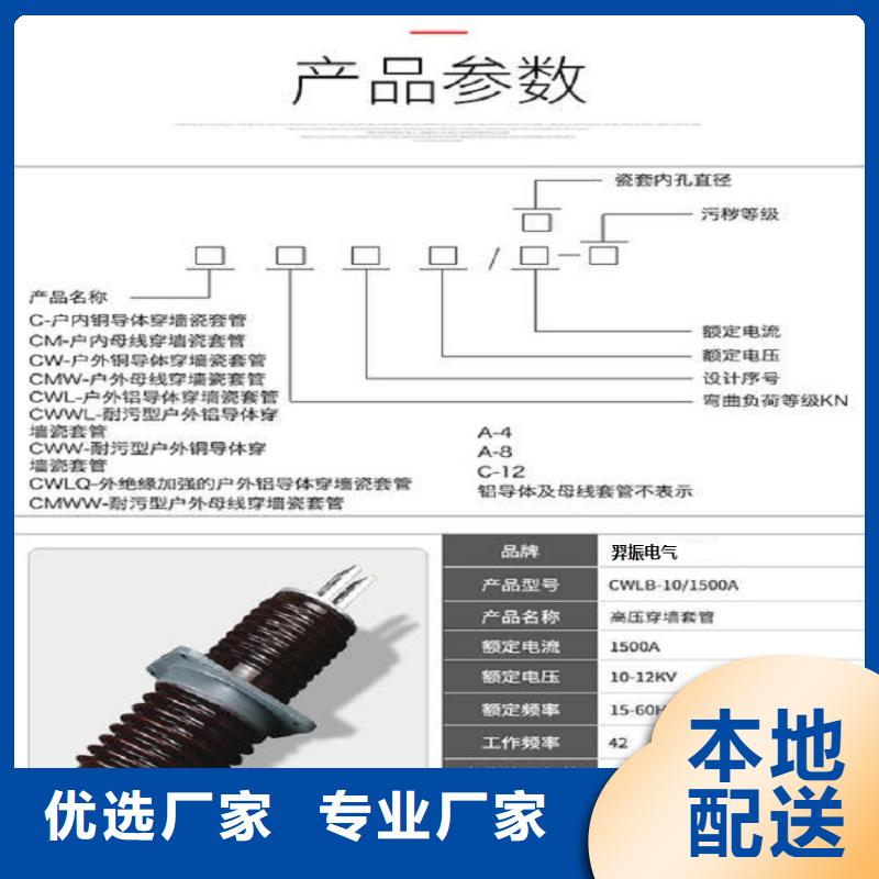 穿墙套管CLB-10KV/630