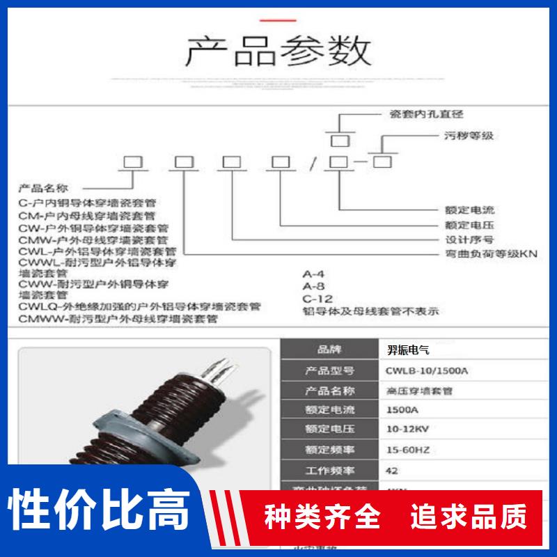 〖高压穿墙套管〗CWLB-35KV/2500A制造厂家