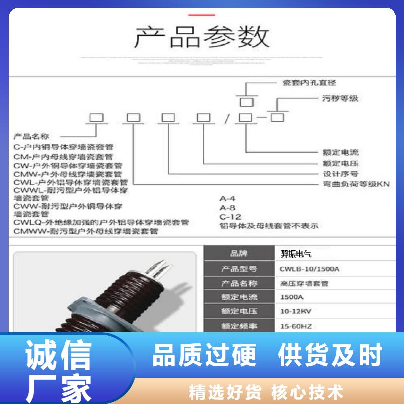 【穿墙套管】CWWL-24KV/3150