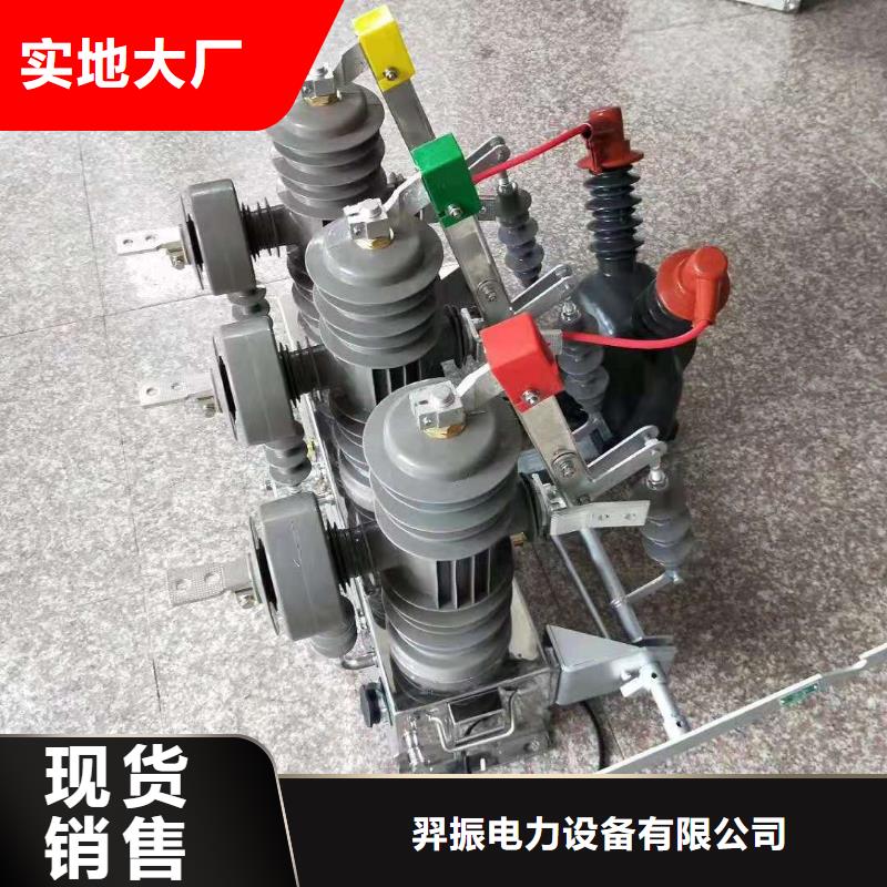 品牌【羿振電力】高壓斷路器ZW32-12G/630-20