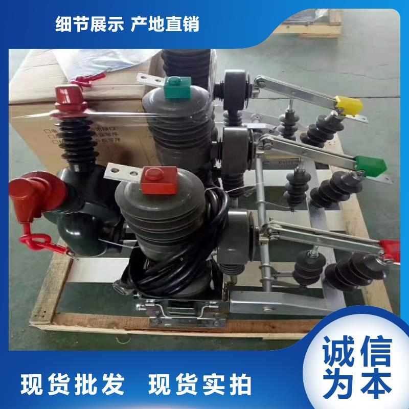 品牌【羿振電力】高壓斷路器ZW32-12G/630-20