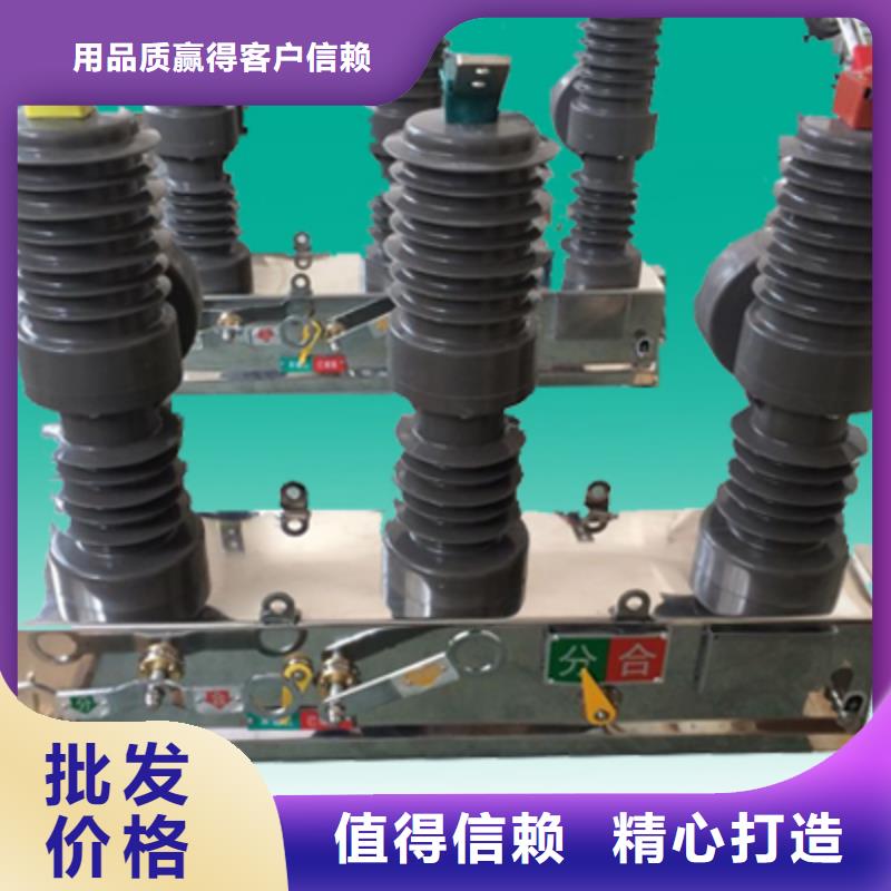 品牌【羿振電力】戶外高壓斷路器ZW32-12G/630-20