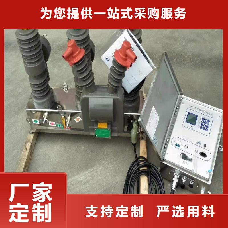 品牌【羿振電力】戶外高壓斷路器ZW32-12G/630-20
