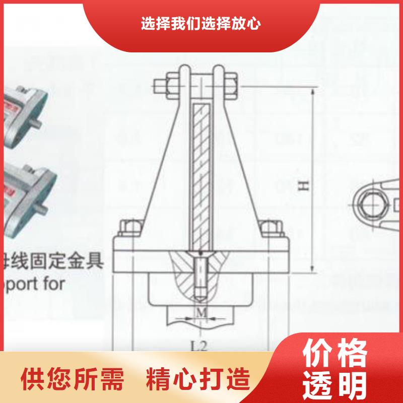 MWP-301