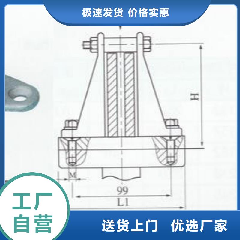 ZS1-145/800支柱绝缘子【上海羿振电力设备有限公司】