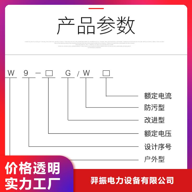 戶外高壓交流隔離開關(guān)：HGW9-10W/200值得信賴.