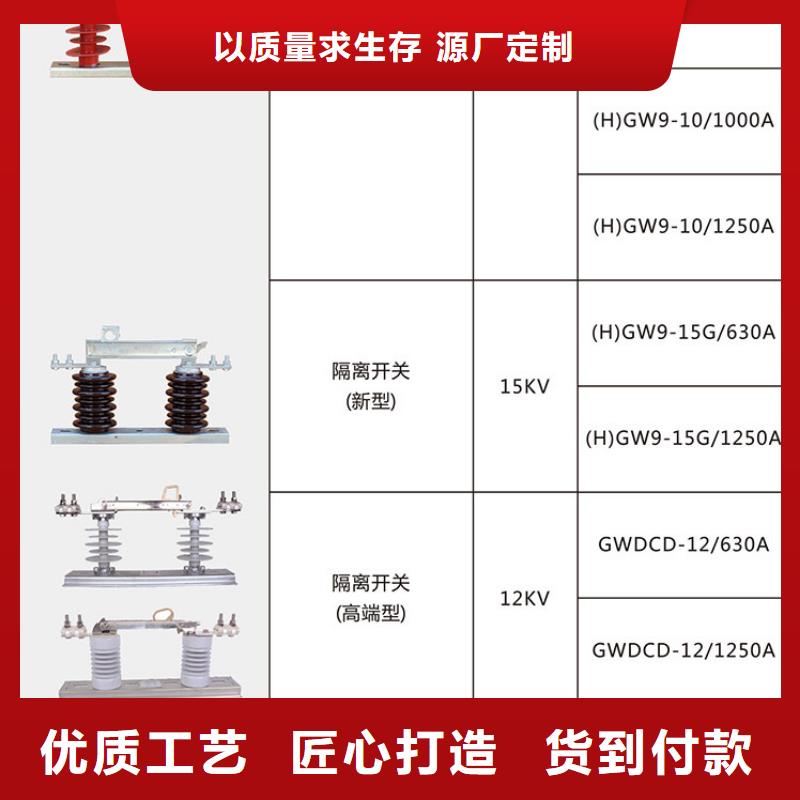 【隔離刀閘】HGW9-12G/1000A