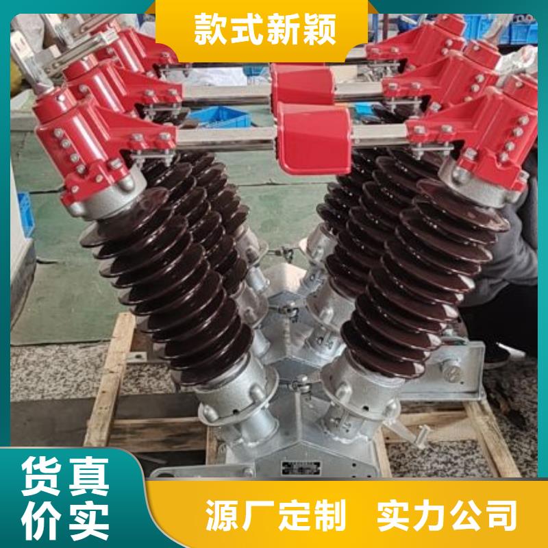 高壓隔離開(kāi)關(guān)GW1-10KV/630