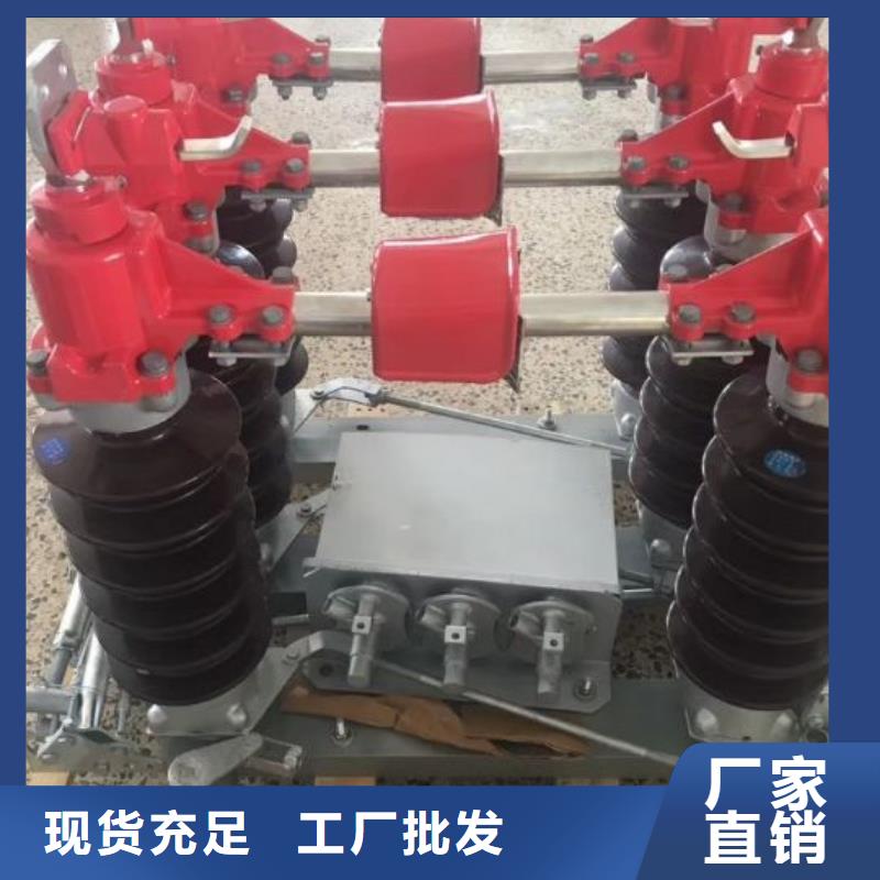 高壓隔離開關HGW1-10KV/630