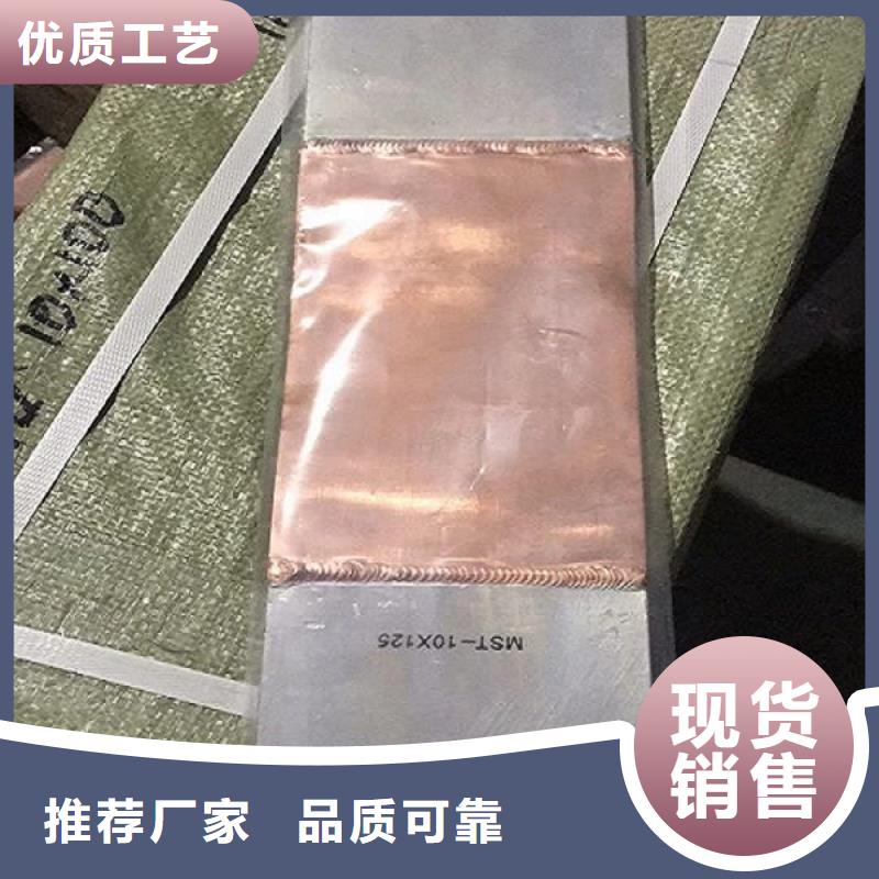 母線伸縮節/軟連接MTS-10×125×500