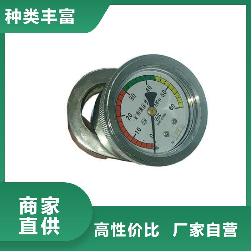 單體支柱測壓儀【錨桿拉力計】源頭工廠