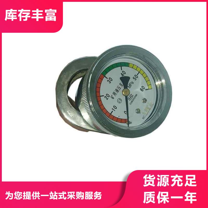 单体支柱测压仪多年经验值得信赖-可发货到道孚|白玉|攀枝花|遂宁|德阳|自贡|资阳