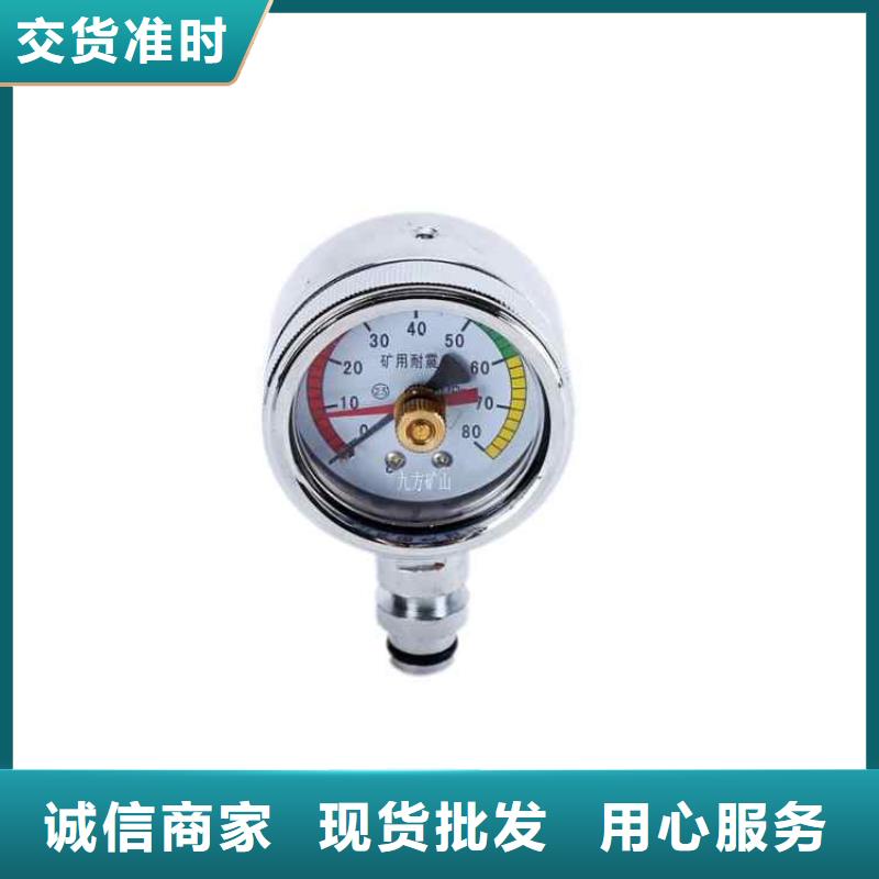 BZY-60綜采測壓表型號全