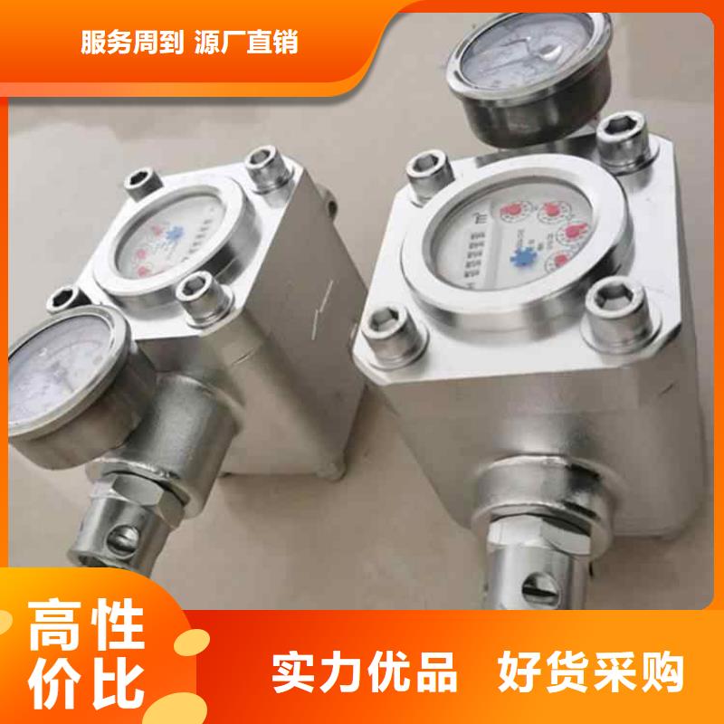 ZGS-6煤层注水表